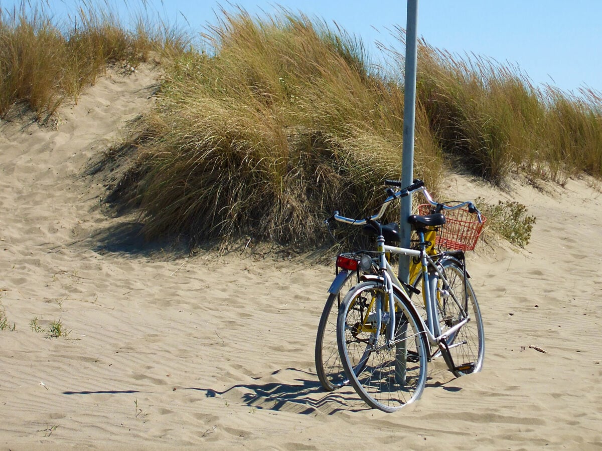 Mit dem Fahrrad zum Strand