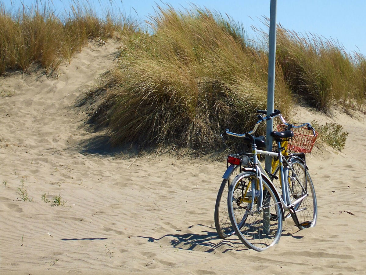 Zum Strand mit dem Fahrrad