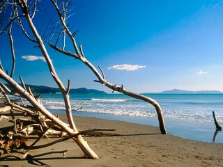 Appartamento Marina di Grosseto Ambiente 33