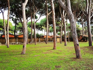 Appartamento Orbetello Ambiente 27