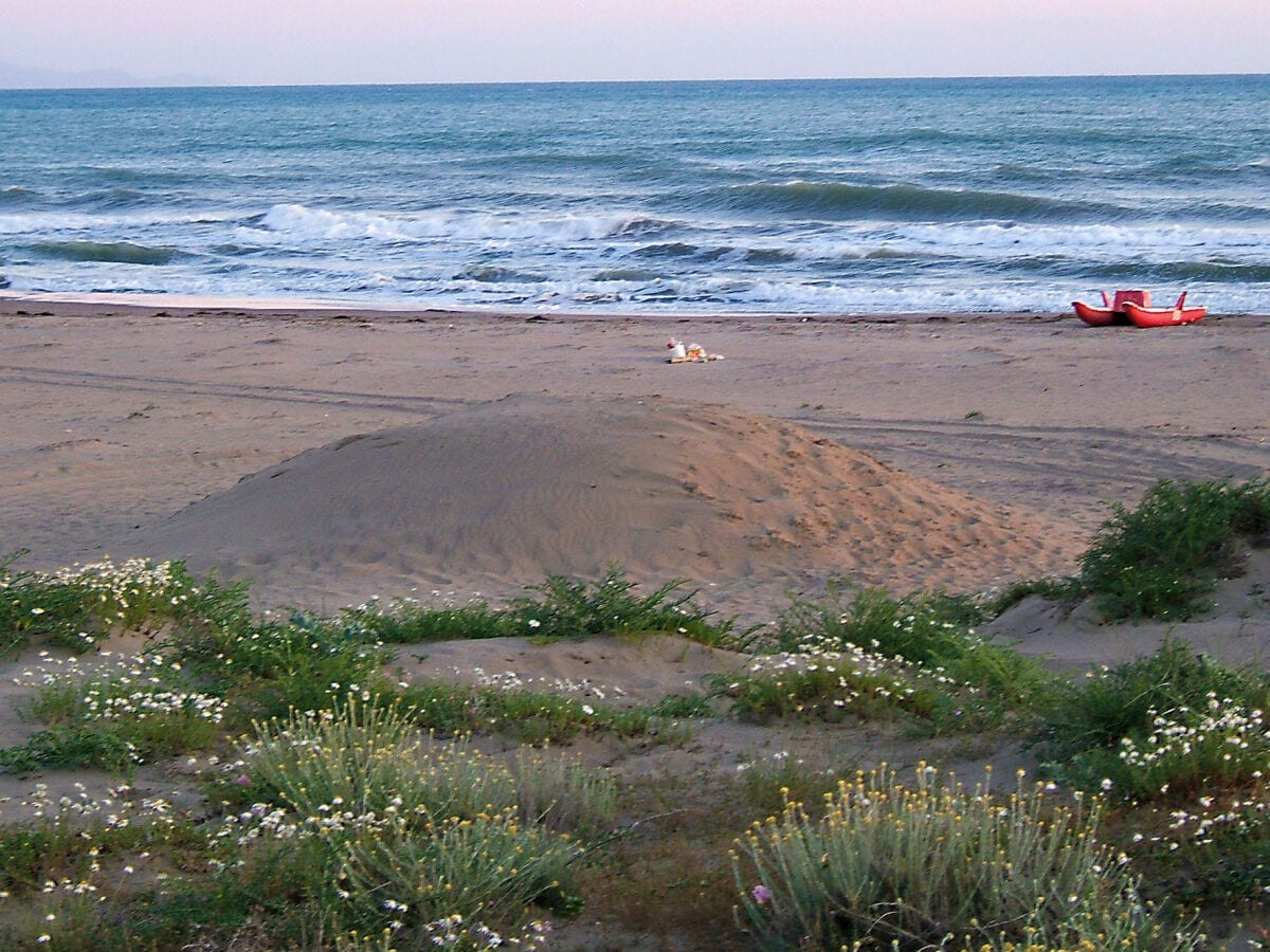 Der Strand von Marina di Grosseto