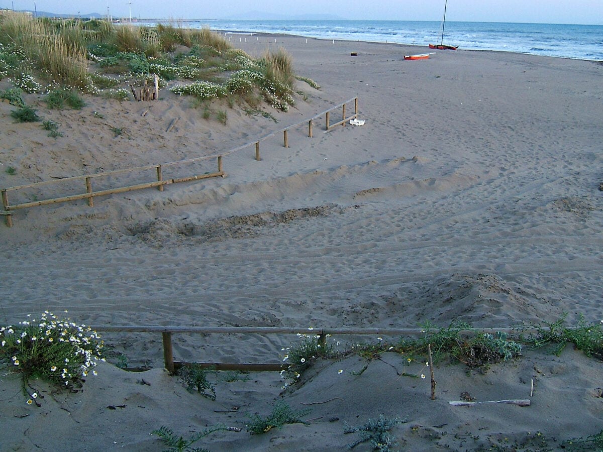 Der Strand von Marina di Grosseto