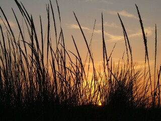 Sonnenuntergang in den Dünen