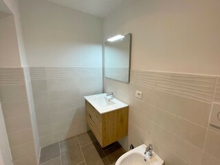 Shower in the bath room
