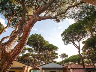 Appartement Marina di Grosseto Buitenaudio-opname 10