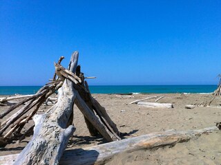 Appartamento Marina di Grosseto Ambiente 30