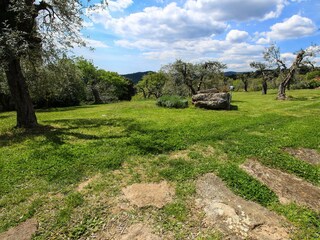 Vakantiehuis Roccatederighi Omgeving 33