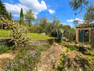 Vakantiehuis Roccatederighi Omgeving 35