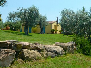 Casa per le vacanze Roccatederighi Ambiente 38