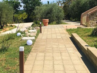 Villa Bibbona Ambiente 38