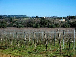 Villa Bibbona Registrazione all'aperto 6