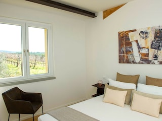 Villa Bibbona Caratteristiche 23