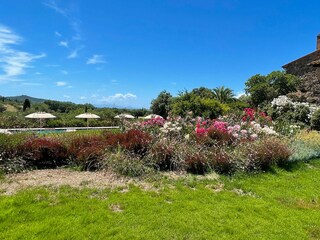 Villa Scarlino Ambiente 38