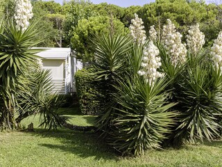 Casa mobile Cavallino-Treporti Ambiente 11