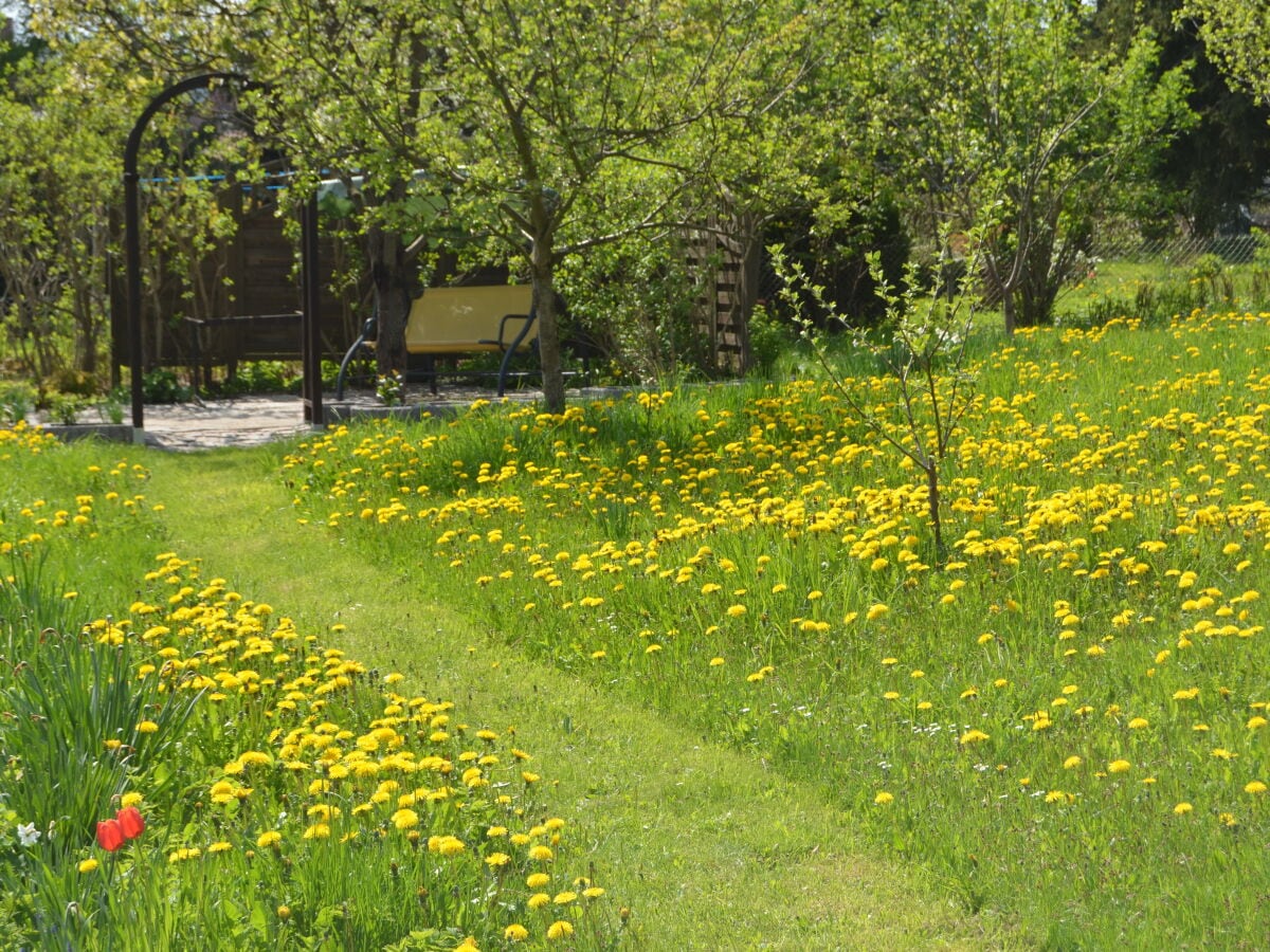 Für jeden ein Plätzchen im Garten