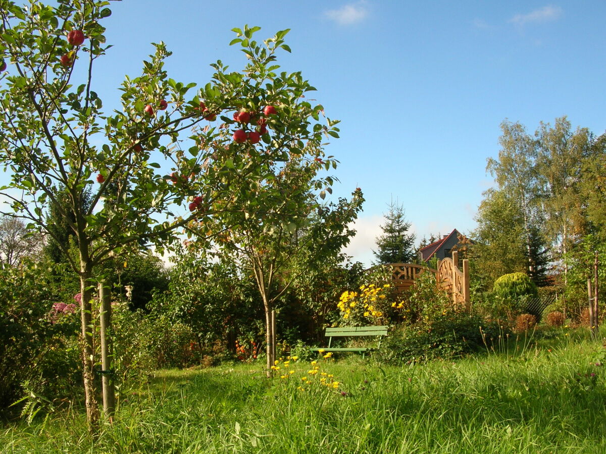 Naturund Ruhe  genießen im Garten