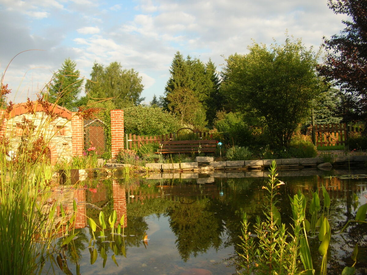 Libellen beobachten am Gartenteich