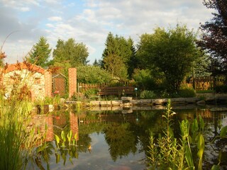 Libellen beobachten am Gartenteich