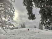 Winterwandern am Auerberg