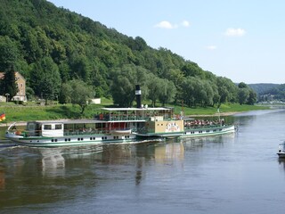 Elbdampfer