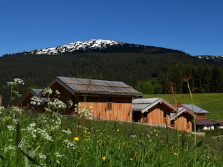 Holiday house Hirschegg im Kleinwalsertal Environment 32