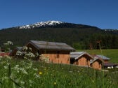 Vakantiehuis Kleinwalsertal Buitenaudio-opname 1