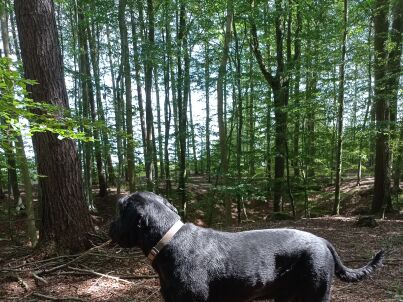 Firma Ferienhaus Ebsen - Frau Melanie Ebsen