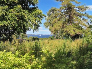 Holiday house Bogø  17