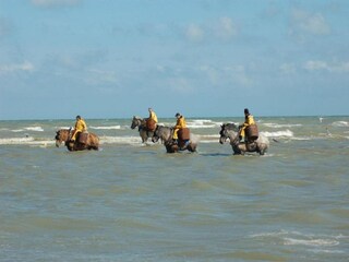 Appartamento Koksijde Ambiente 32