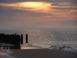 Maison de vacances Mielenko Environnement 21