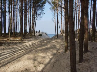 Holiday house Mielenko Environment 15