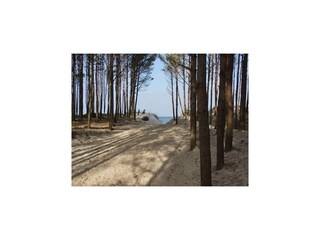 Vakantiehuis Mielenko Omgeving 15