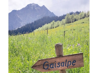 Ferienwohnung Oberstdorf Umgebung 10