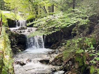 Ferienwohnung Oberstdorf Umgebung 13
