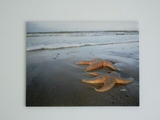 Vakantieappartement Langeoog Kenmerken 25