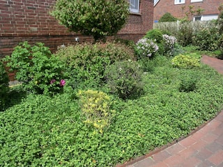 Vakantieappartement Langeoog Buitenaudio-opname 3