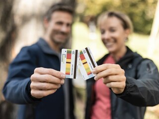 Appartamento per vacanze Natz Ambiente 21