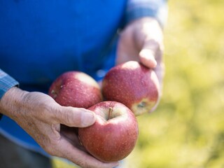 Appartamento per vacanze Natz Ambiente 24