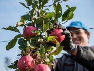 Appartamento per vacanze Natz Ambiente 25