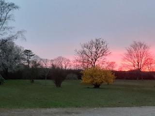 Ferienwohnung Kappeln (Stadt) Umgebung 20