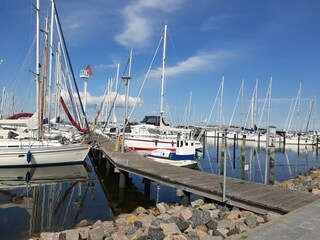 Ferienwohnung Kappeln (Stadt) Umgebung 17
