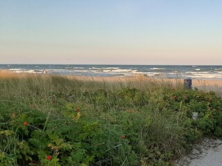 Strand ganz in der Nähe