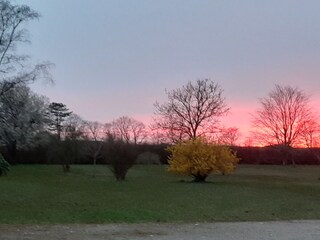 Holiday apartment Kappeln (Stadt) Environment 25