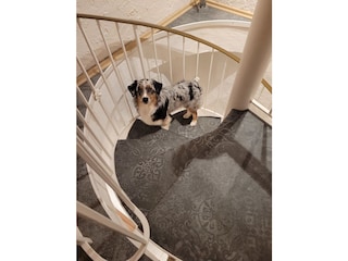 Wendeltreppe mit breiten Stufen
