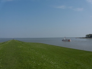 Die "Jantje" läuft aus zu den Seehundbänken