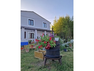 Casa per le vacanze Capannori Registrazione all'aperto 4