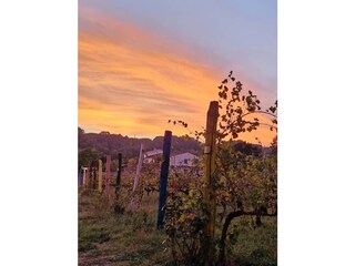 Casa per le vacanze Capannori Ambiente 32