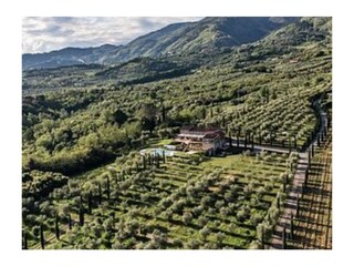 Casa per le vacanze Capannori Ambiente 33