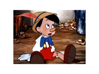 Casa per le vacanze Capannori Ambiente 37