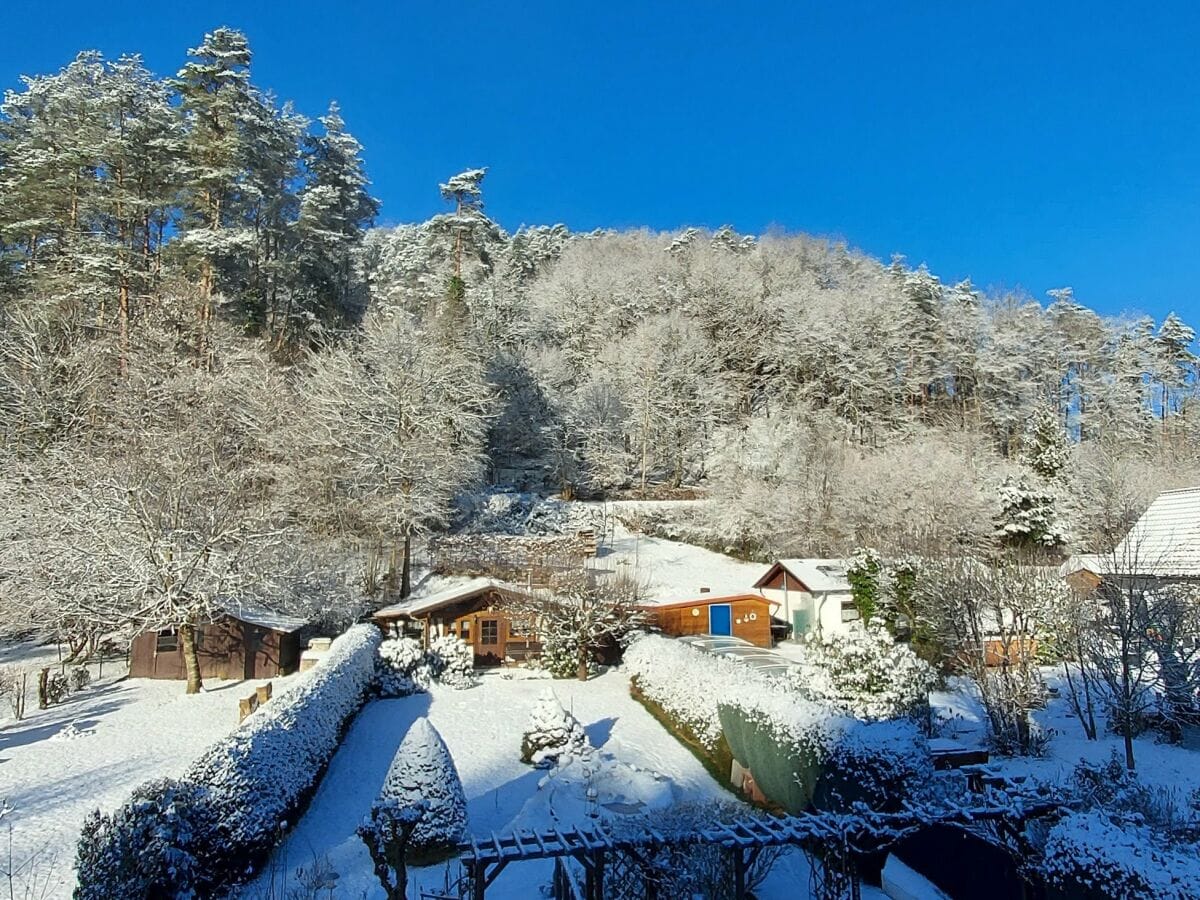 Blick in den winterlichen Garten